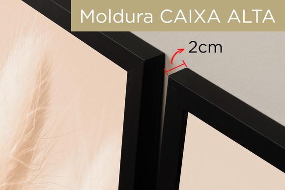 Trio De Quadros Decorativos Para Sala Folhagem Bege Moldura