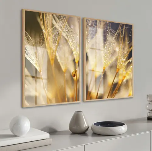 2 Quadros Decorativos Moderno Dente de Leão Moldura e Vidro