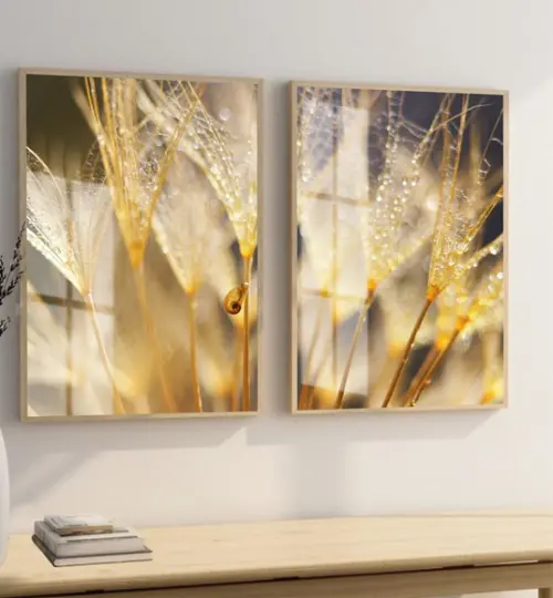 2 Quadros Decorativos Moderno Dente de Leão Moldura e Vidro