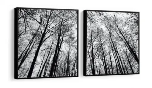 2 Quadros Galhos Paisagem Preto e Branco Decoração Molduras