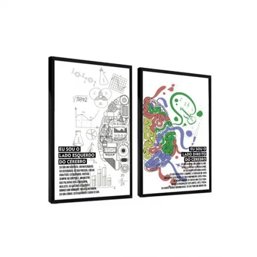 2 Quadros Psicologia Cérebro Decoração Consultório Moldura