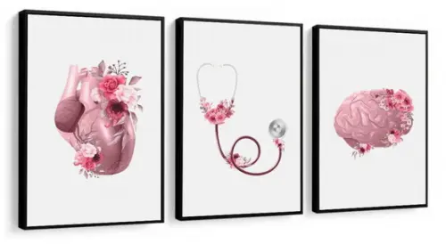 3 Quadros Anatomia Cérebro Coração Decoração Medico Molduras