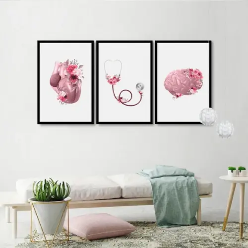 3 Quadros Anatomia Cérebro Coração Decoração Medico Molduras