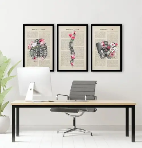 3 Quadros Anatomia Consultório De Medicina Decoração Moldura