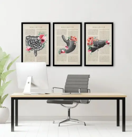 3 Quadros Anatomia Consultório Medicina Decoração Moldura