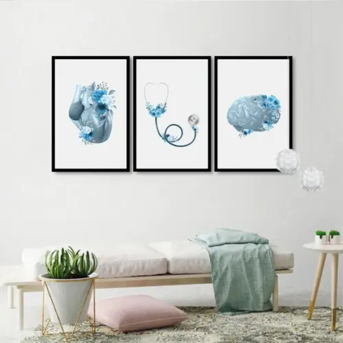 3 Quadros Anatomia Coração Cérebro Decoração Medico Molduras