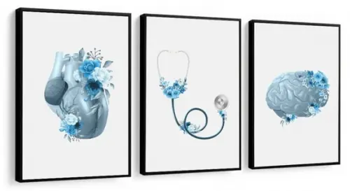 3 Quadros Anatomia Coração Cérebro Decoração Medico Molduras