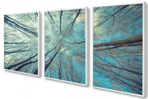 3 Quadros Arvore Galhos Céu Azul Decoração Conjunto Molduras