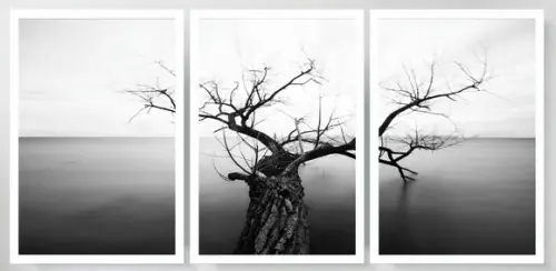 3 Quadros Arvore Paisagem Preto e Branco Decoração Moldura
