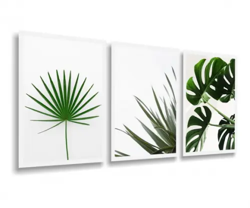3 Quadros Decoração Costela De Adão Folhagens Verde Botânico