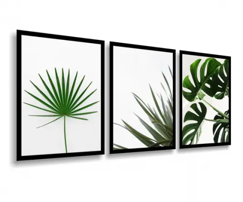 3 Quadros Decoração Costelas De Adão Folhagem Verde Botânico