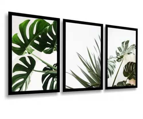 3 Quadros Decoração Folhagem Verde Costela Botânico Moldura