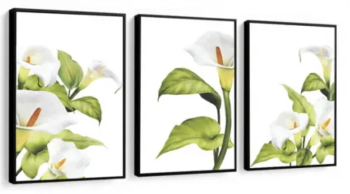3 Quadros Decorativos Flor Copo de Leite Botânico Moldura