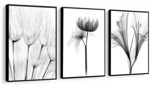 3 Quadros Decorativos Flores Preto e Branco Botânico Moldura
