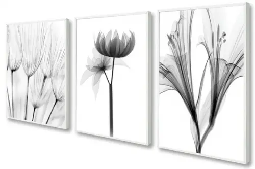 3 Quadros Decorativos Flores Preto E Branco Botânico Moldura