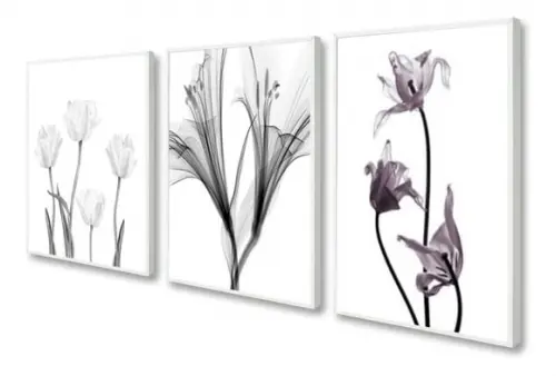 3 Quadros Decorativos Flores Preto E Branco Botânico Moldura