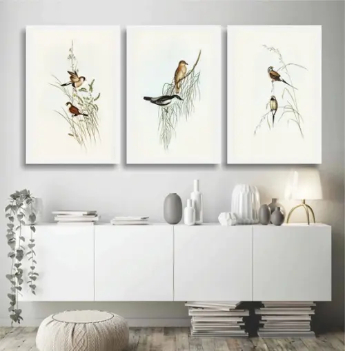 3 Quadros Decorativos Passarinhos Animais Conjunto Moldura