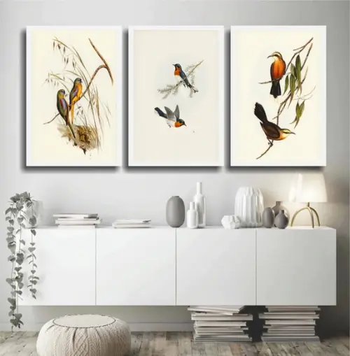 3 Quadros Decorativos Passarinhos Animais Conjunto Moldura