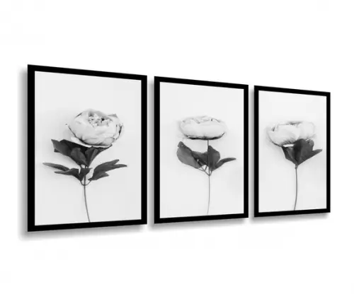 3 Quadros Decorativos Rosas Preto e Branco Botânico Moldura