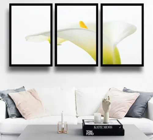 3 Quadros Flores Decoração Copo De Leite Botânico Moldura