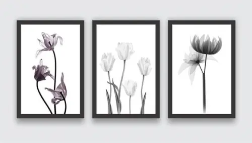 3 Quadros Flores Preto e Branco Botânico Decoração Molduras