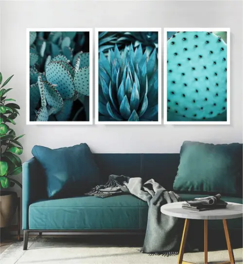 3 Quadros Folhagem Suculenta Azul Cactos Decoração Molduras