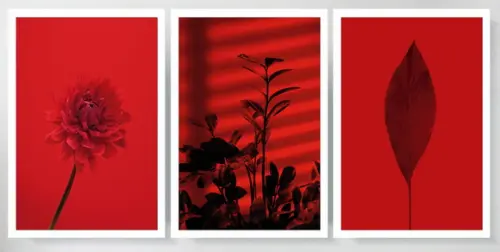 3 Quadros Folhagem Vermelha Tropical Decoração Com Moldura