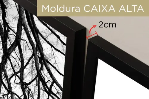 3 Quadros Galhos Preto e Branco Paisagem Decoração Molduras