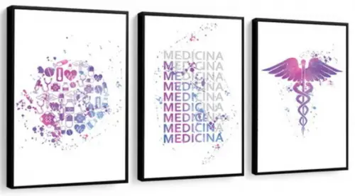 3 Quadros Medicina Profissão Decoração Consultório Molduras