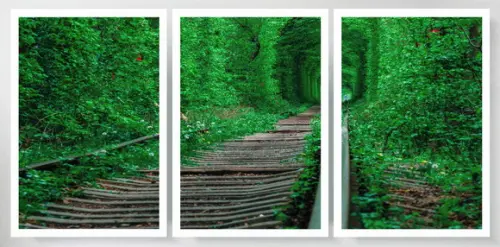 3 Quadros Paisagem Folhagem Verde Trilhos Decoração Moldura