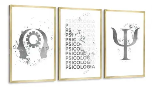 3 Quadros Psicologia Profissão Consultório Decoração Moldura