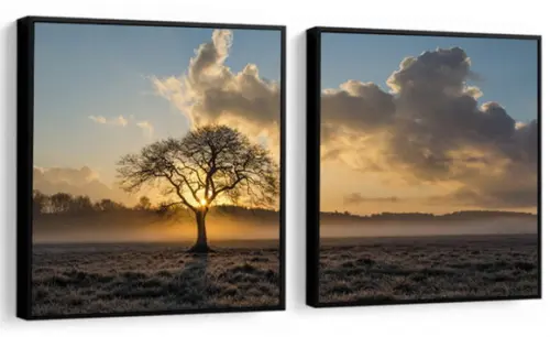 Kit 2 Quadros Arvores Paisagem Pôr Do Sol Decoração Molduras