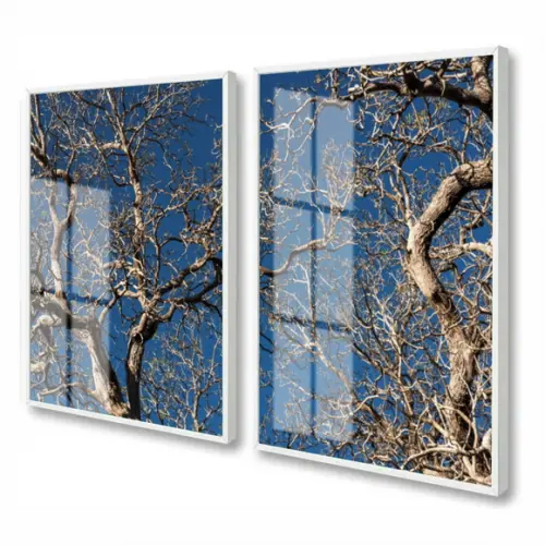 Kit 2 Quadros Decorativos Arvore Galhos Secos Moldura Vidro