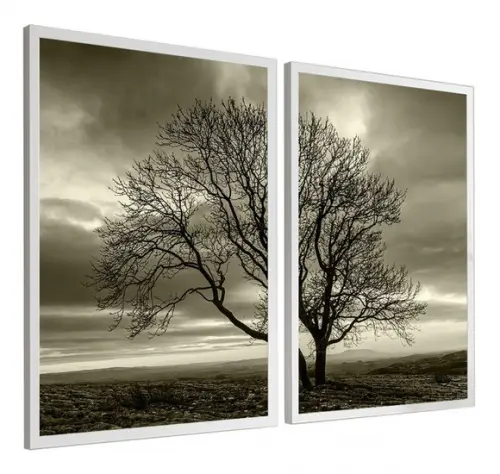 Kit 2 Quadros Decorativos Arvore Preto e Branco com Moldura