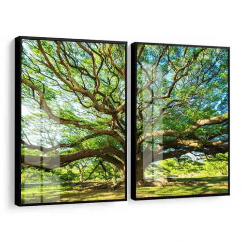 Kit 2 Quadros Decorativos Arvore Verde Galhos Moldura Vidro
