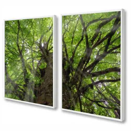 Kit 2 Quadros Decorativos Arvore Verde Quarto Sala Moldura