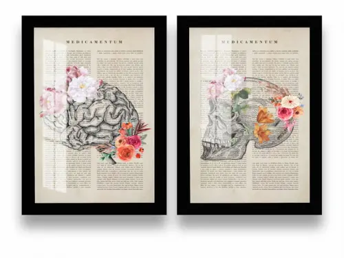 Kit 2 Quadros Decorativos Cérebro Anatomia Moldura e Vidro