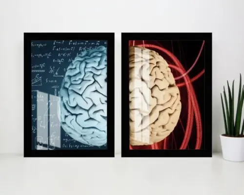 Kit 2 Quadros Decorativos Cérebro Psicologia Moldura e Vidro