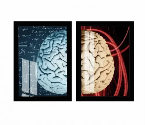 Kit 2 Quadros Decorativos Cérebro Psicologia Moldura e Vidro