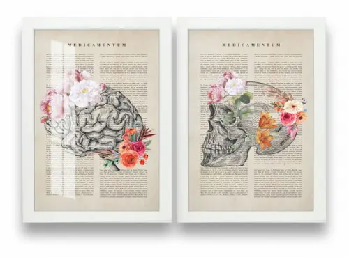 Kit 2 Quadros Decorativos Cérebro Psicologia Moldura e Vidro