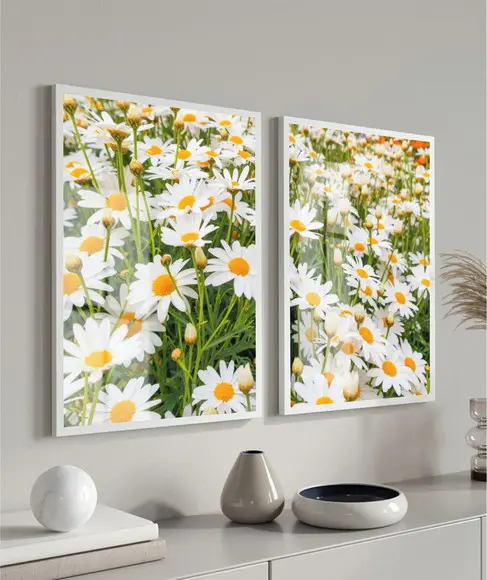 Kit 2 Quadros Decorativos Flor Margarida Com Moldura e Vidro