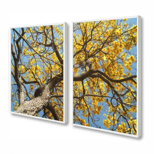 Kit 2 Quadros Decorativos Flores Amarelas Conjunto Moldura