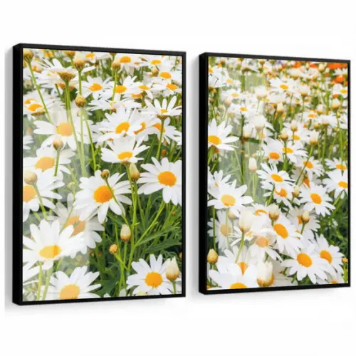 Kit 2 Quadros Decorativos Flores Margarida Moldura e Vidro