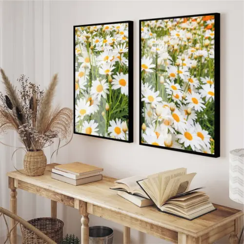 Kit 2 Quadros Decorativos Flores Margarida Moldura e Vidro