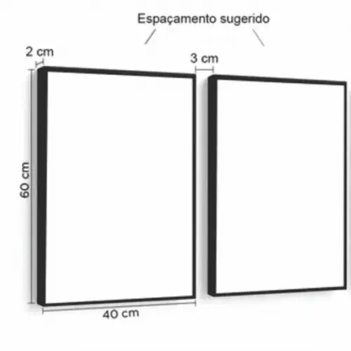 Kit 2 Quadros Decorativos Flores para Sala Moldura e Vidro