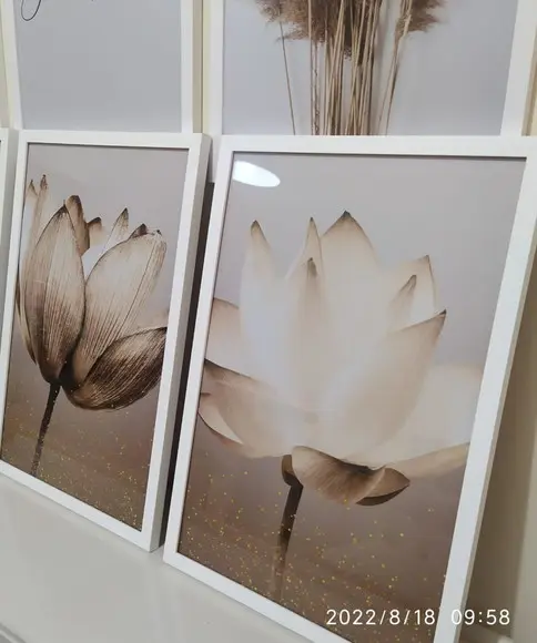 Kit 2 Quadros Decorativos Flores Para Sala Moldura e Vidro