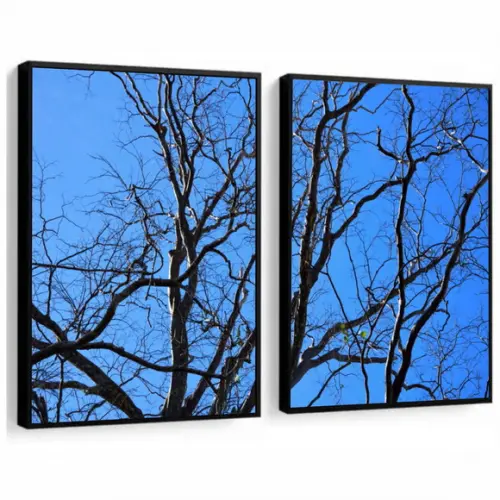Kit 2 Quadros Decorativos Galhos Céu Azul Paisagem Moldura