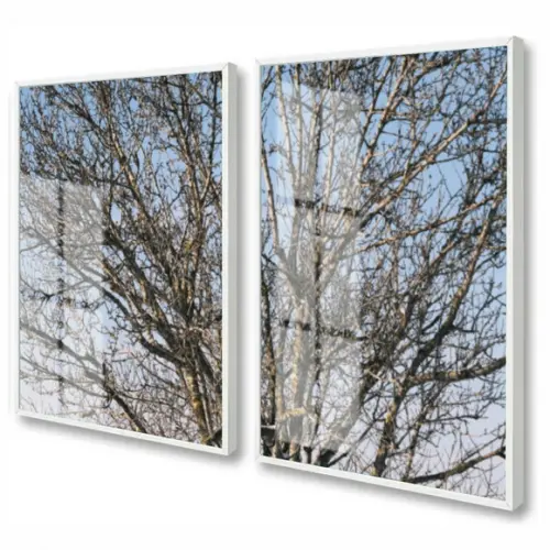 Kit 2 Quadros Decorativos Galhos Paisagem Com Moldura Vidro