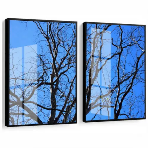 Kit 2 Quadros Decorativos Galhos Secos Com Moldura e Vidro
