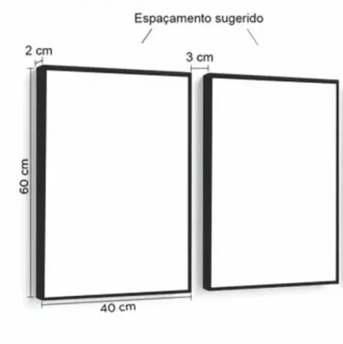 Kit 2 Quadros Decorativos Galhos Secos Com Moldura e Vidro